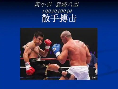 散打 ppt课件