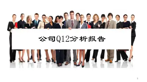 Q12分析报告
