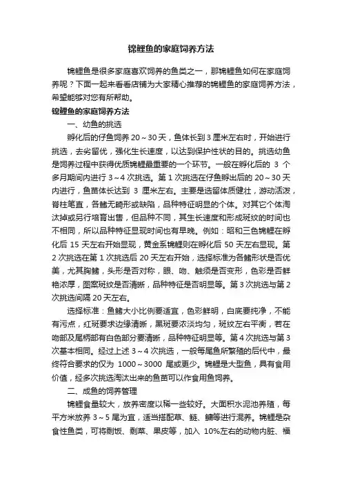 锦鲤鱼的家庭饲养方法