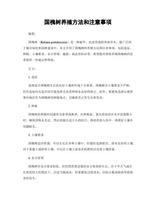 国槐树养殖方法和注意事项