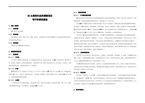 生态风情街项目可行性研究报告