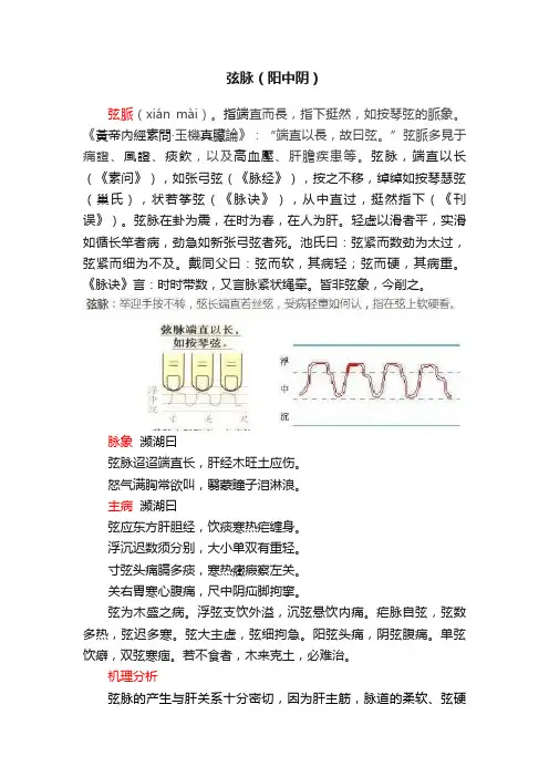 弦脉（阳中阴）