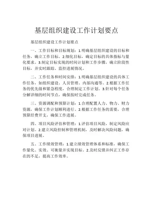 基层组织建设工作计划要点