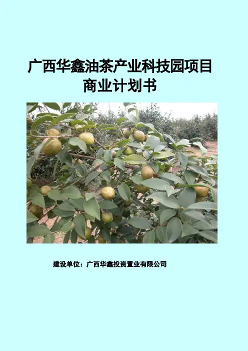 油茶产业科技园项目商业计划书