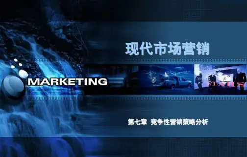 第七章竞争性营销策略分析