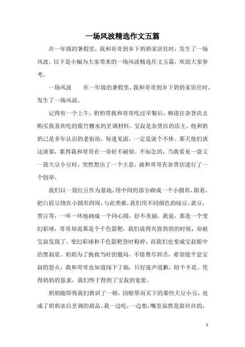 一场风波精选作文五篇