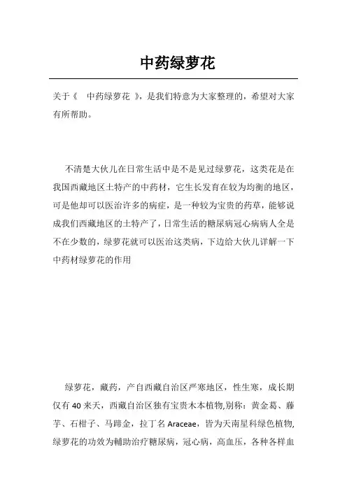 中药绿萝花