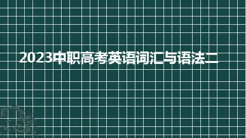 2023中职高考英语二轮复习词汇与语法专项训练二