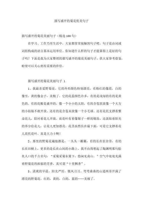 描写盛开的菊花优美句子