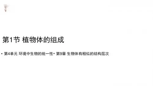 七年级下册生物课件-4.9.1《植物体的组成》课件 苏科版