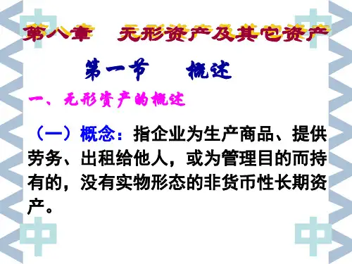 无形资产和其他资产