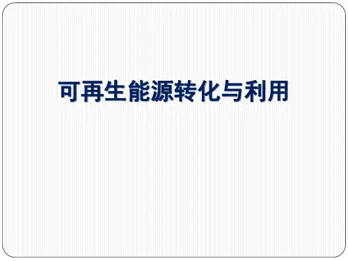 氢能 西安交通大学新能源PPT