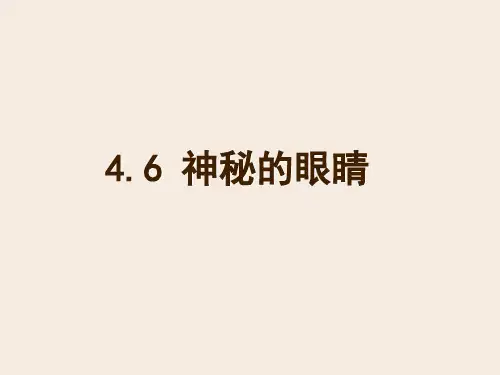 教科版八上物理 神奇的眼睛 课件(1)