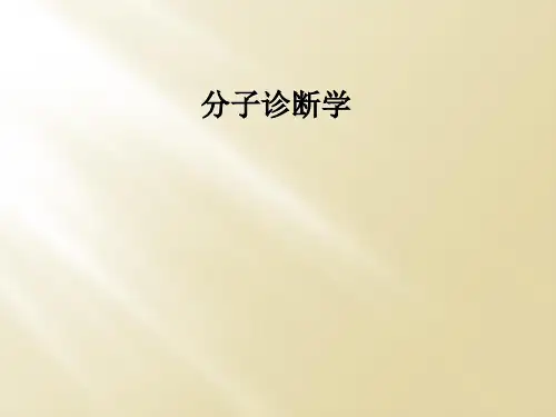 分子诊断学