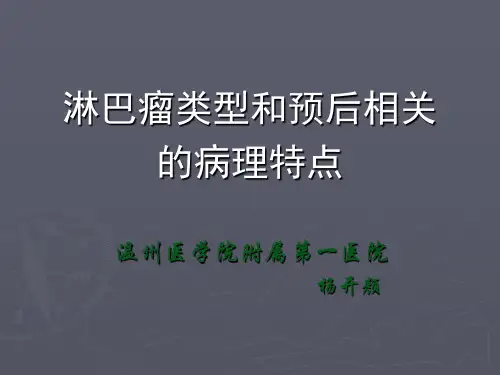 淋巴瘤药理药效研究动物模型