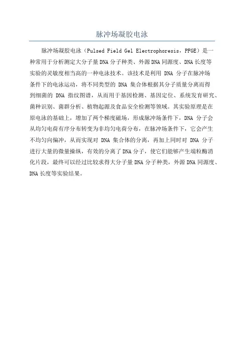 脉冲场凝胶电泳