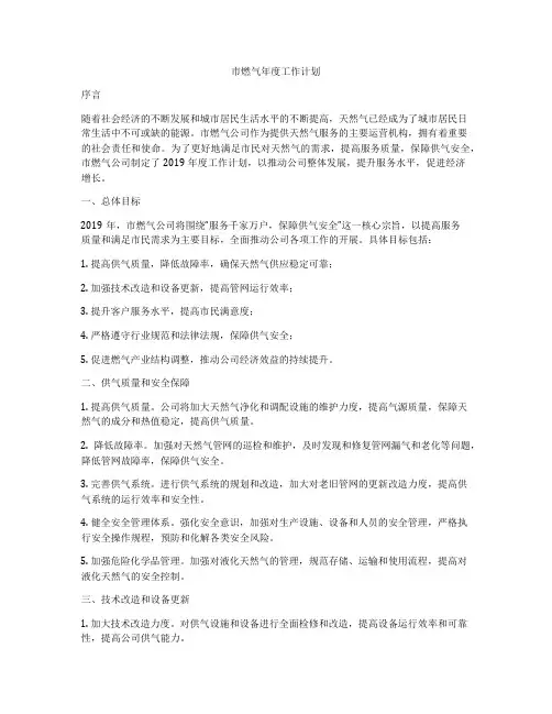 市燃气年度工作计划