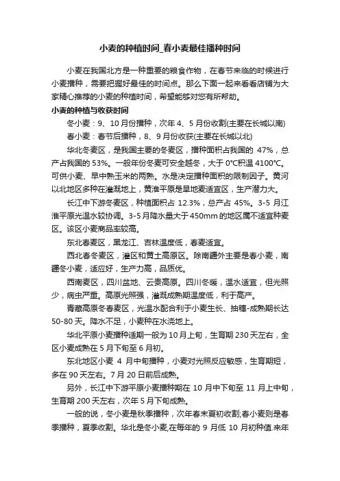 小麦的种植时间_春小麦最佳播种时间