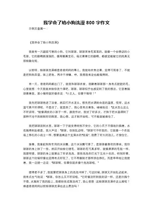 我学会了给小狗洗澡800字作文