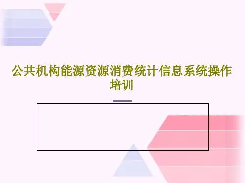 公共机构能源资源消费统计信息系统操作培训共46页