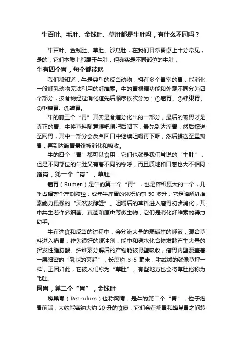 牛百叶、毛肚、金钱肚、草肚都是牛肚吗，有什么不同吗？