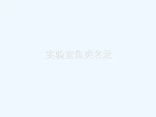 实验室鱼类名录