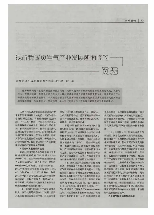 浅析我国页岩气产业发展所面临的问题