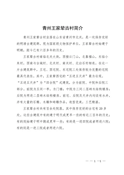 青州王家辇古村简介