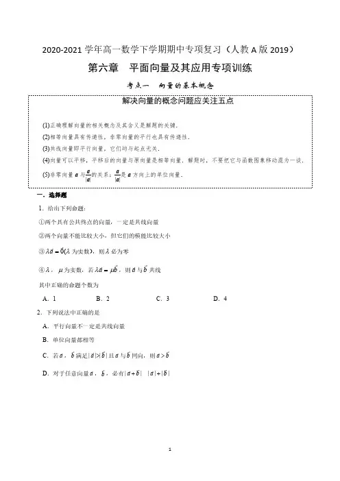 第六章 平面向量及其应用【专项训练】-课件