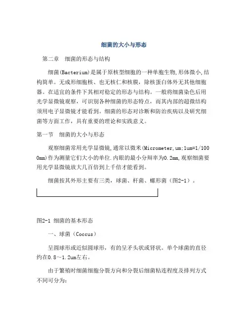 细菌的大小与形态