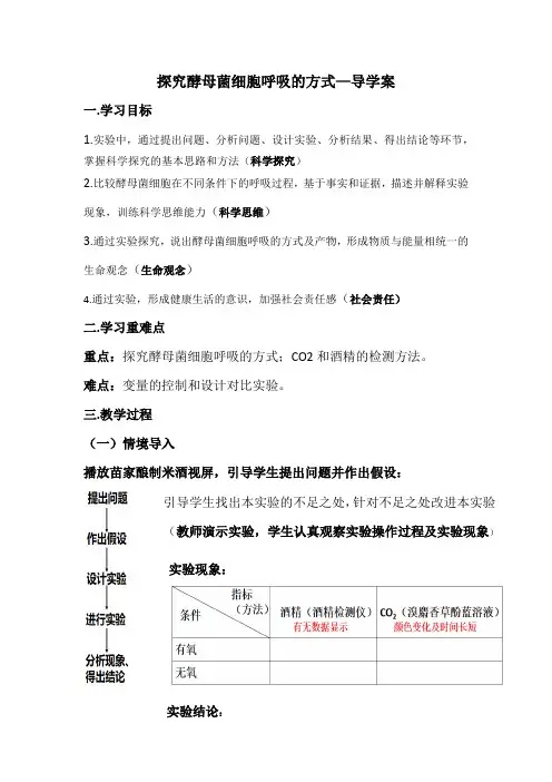 5.3细胞呼吸的原理和应用探究酵母菌细胞呼吸的方式导学案高一上学期生物人教版必修1