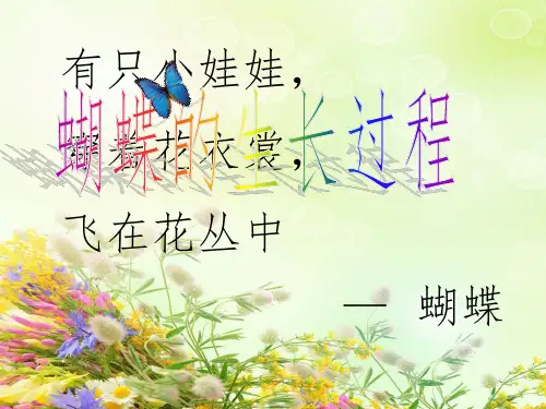 蝴蝶生长过程