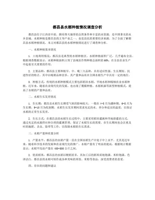 都昌县水稻种植情况调查分析