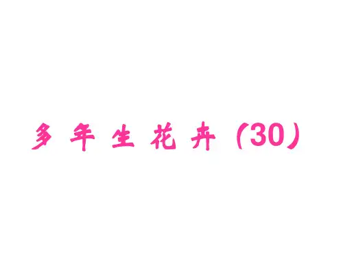 2宿根与球根花卉