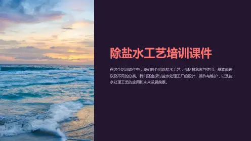 除盐水工艺培训课件