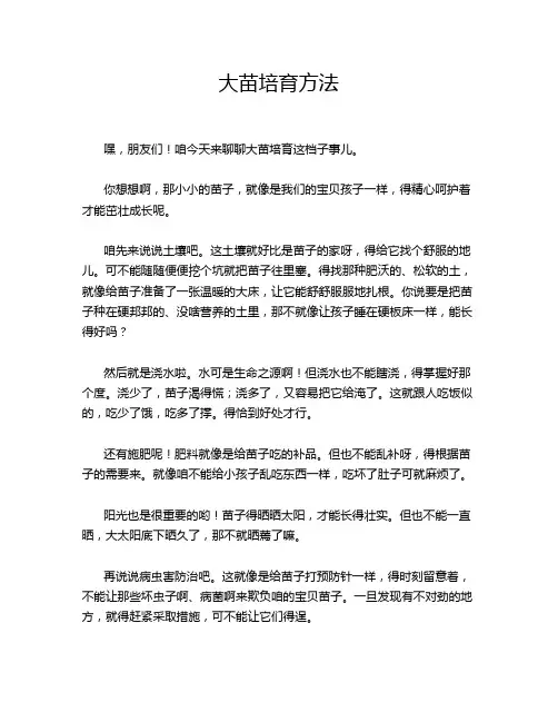 大苗培育方法