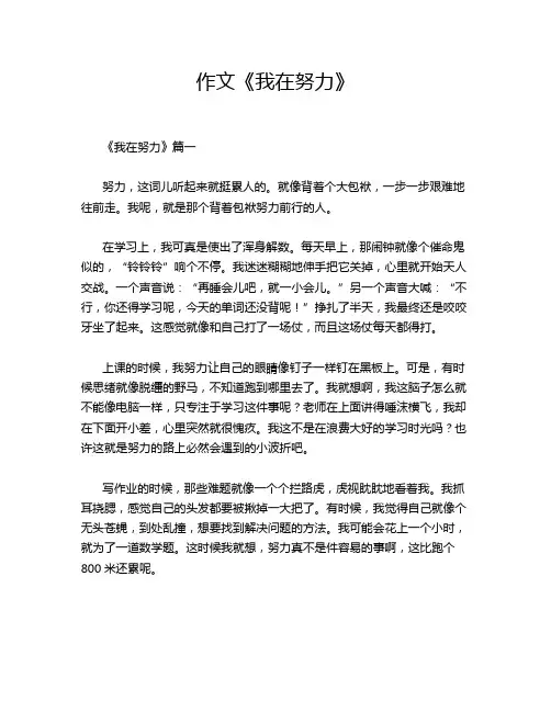 作文《我在努力》