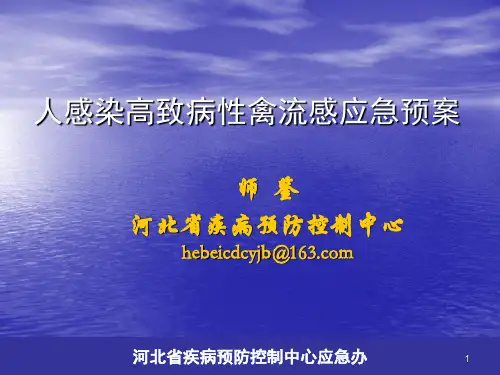 人感染高致病性禽流感应急预案PPT参考幻灯片