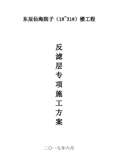 反滤层专项施工方案