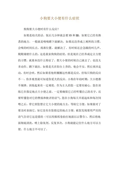 小狗要大小便有什么症状