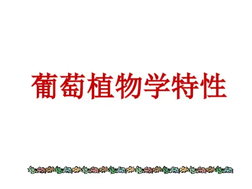 葡萄植物学特性全解