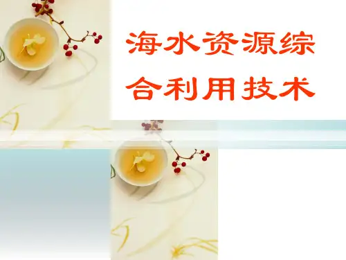 第一篇海水资源综合利用技术