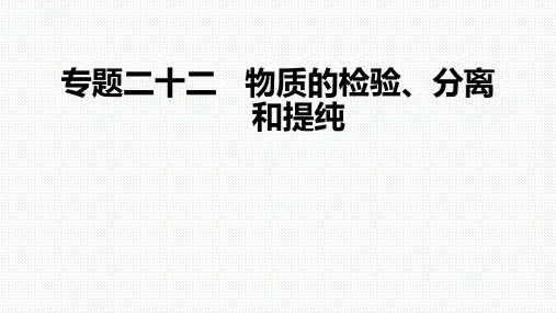 高中化学--物质的检验-分离和提纯-新高考版