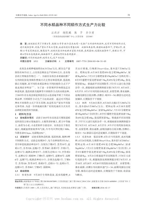 不同水稻品种不同稻作方式生产力比较