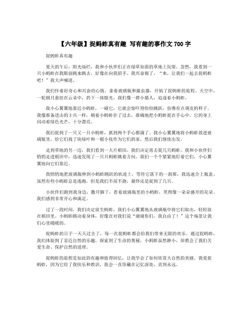 【六年级】捉蚂蚱真有趣 写有趣的事作文700字