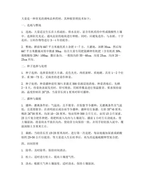 种植大姜管理技术