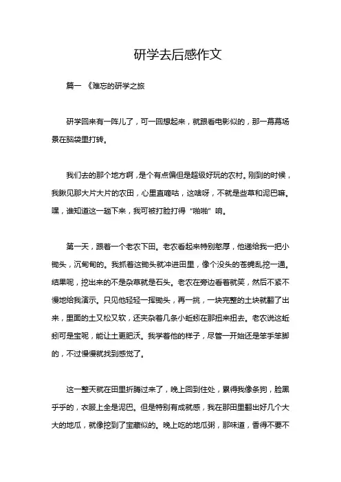 研学去后感作文