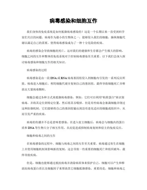 病毒感染和细胞互作