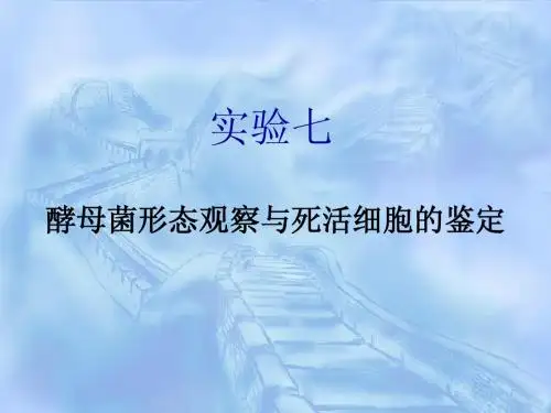 实验七八酵母菌形态观察