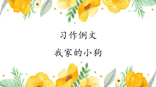 统编版三年级上册语文习作例文：我家的小狗  课件(共17张PPT).ppt